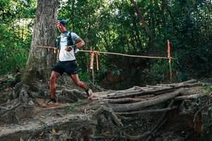 BIB: 
                            <button type="button" onclick="openModal(27751339)" class="btn btn-primary btn-sm float-right btn-popup" data-toggle="modal" data-target=".modal-high-quality">
                        <i class="fas fa-shopping-cart"></i> Add to Cart
                    </button>
                                            <button type="button" onclick="isThisMe(27751339, true)" class="btn btn-success btn-sm float-right btn-popup btn-isme hidden" data-toggle="tooltip" data-placement="bottom" title="นี่คือรูปของคุณใช่ไหม คลิกที่นี่เพื่อเอาเข้าอัลบั้ม">
                        <i class="fas fa-plus"></i> Add to album
                    </button>
                    <button type="button" onclick="isThisMe(27751339, false)" class="btn btn-warning btn-sm float-right btn-popup btn-isnotme hidden">
                        <i class="fas fa-ban"></i> Remove from album
                    </button>